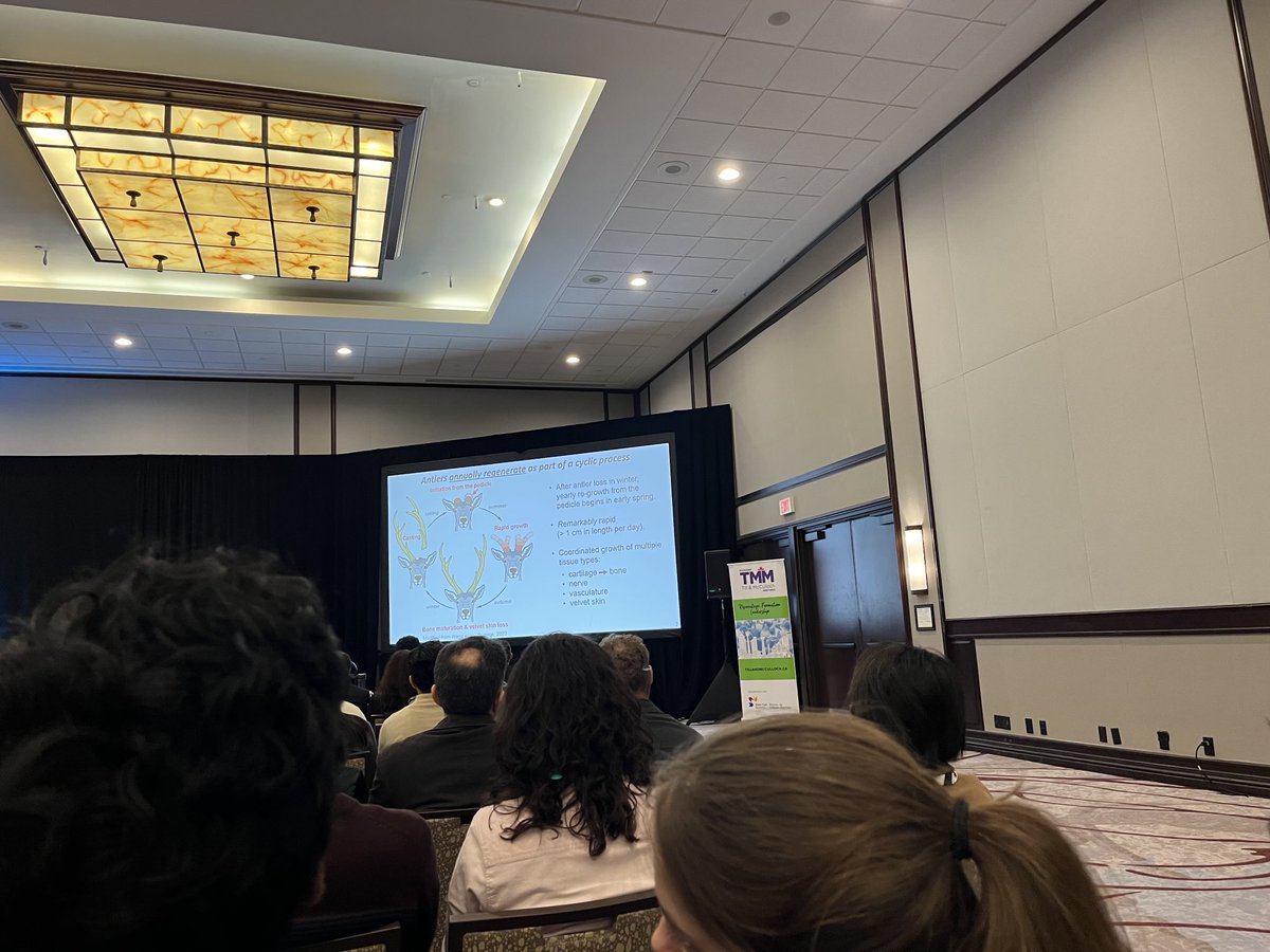 DrWillerth's tweet image. Scenes from #TMM2025  ⁦@StemCellNetwork⁩