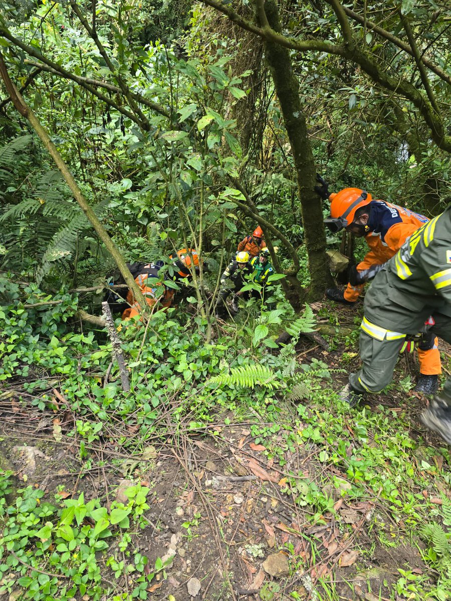 PCMMEBOGOFICIAL's tweet image. Fue hallado con vida el ciudadano extraviado en el cerro de Guadalupe. 💚
Acompañamos las labores junto a entidades de emergencia.
#BúsquedaYRescate #Bogotá #ElCorazónDeNuestroVoluntariado #PolicíaCívicaDeMayores #Emergencias #TrabajoEnEquipo #CulturaCiudadana