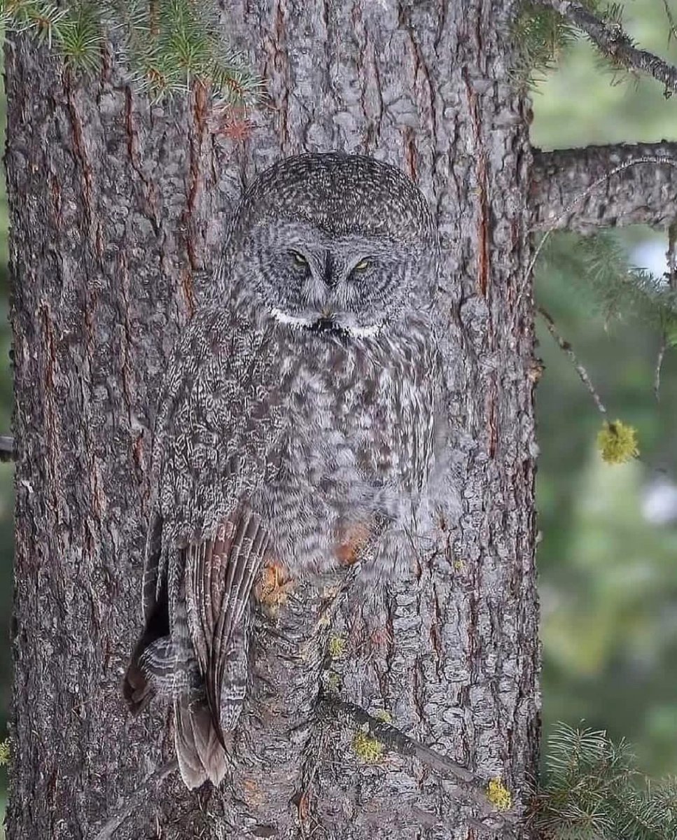 Matt_Pinner's tweet image. What do you see in this picture?