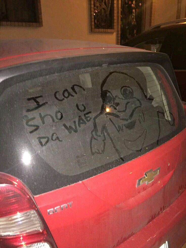 dinosaur tweet media