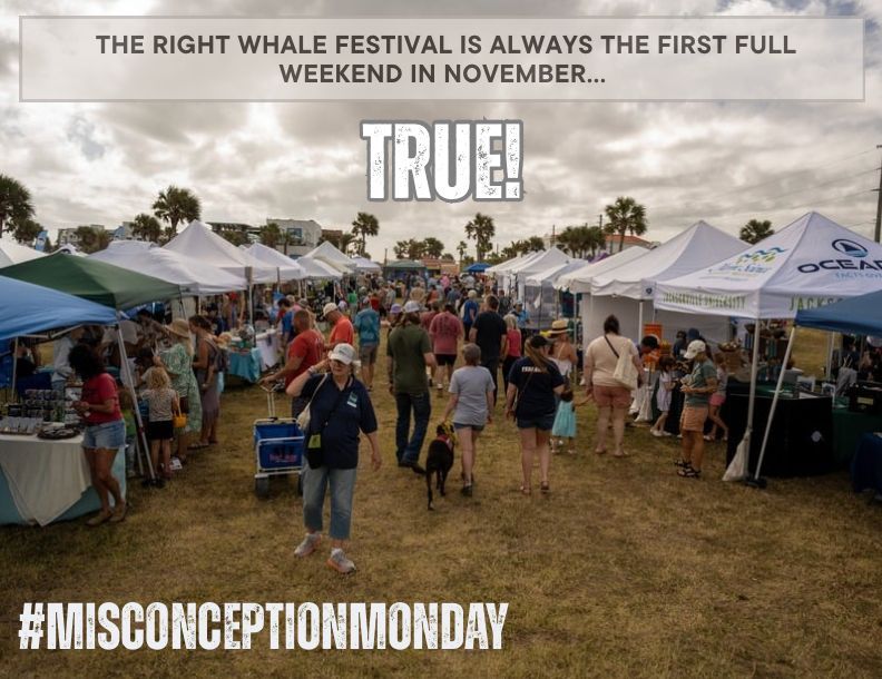 Right Whale Festival tweet media