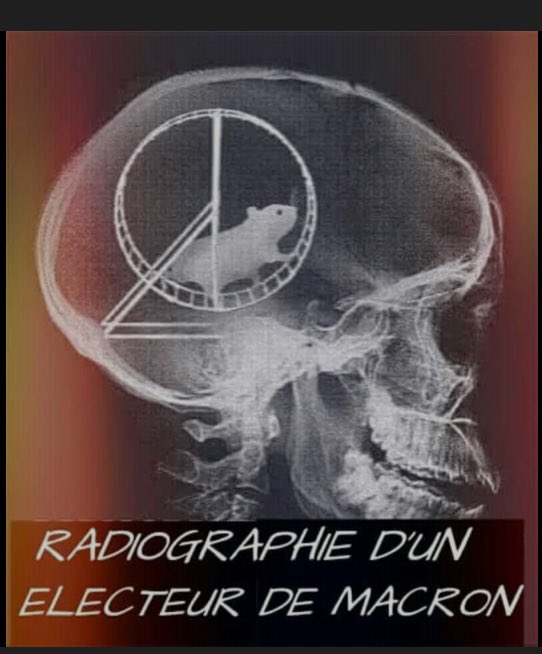 La science a fait des expériences sur les 11 % de la population française 
J’ai hâte de recevoir les données scientifiques pour  LFI 🤣🤣🤣🤣🤣