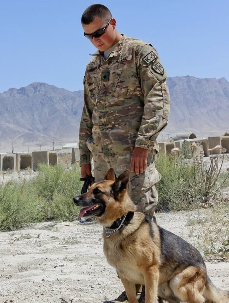 Mission K9 Rescue tweet media