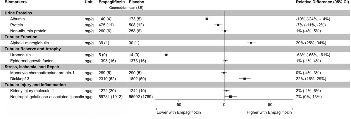 Effects of Empagliflozin on Urine Biomarkers in EMPA-KIDNEY

bit.ly/3WA9uoy (OPEN ACCESS)

<a href="/grecombm/">Greco Mark Malijan</a> <a href="/NatalieStaplin/">Natalie Staplin</a> <a href="/Dilushiwijay/">Dilushi Wijayaratne</a> <a href="/KillianDonovan/">Killian Donovan</a> <a href="/doreen_zhu/">Doreen Zhu</a> <a href="/kayzieb77/">Michaela Petrini</a> <a href="/sarahngyoonai/">Sarah Ng</a> <a href="/KatherineTuttl8/">Katherine Tuttle</a> <a href="/MartinLandray/">Martin Landray</a> <a href="/ChristophWanne4/">Christoph Wanner</a> <a href="/shlipak_khrc/">Michael Shlipak</a>