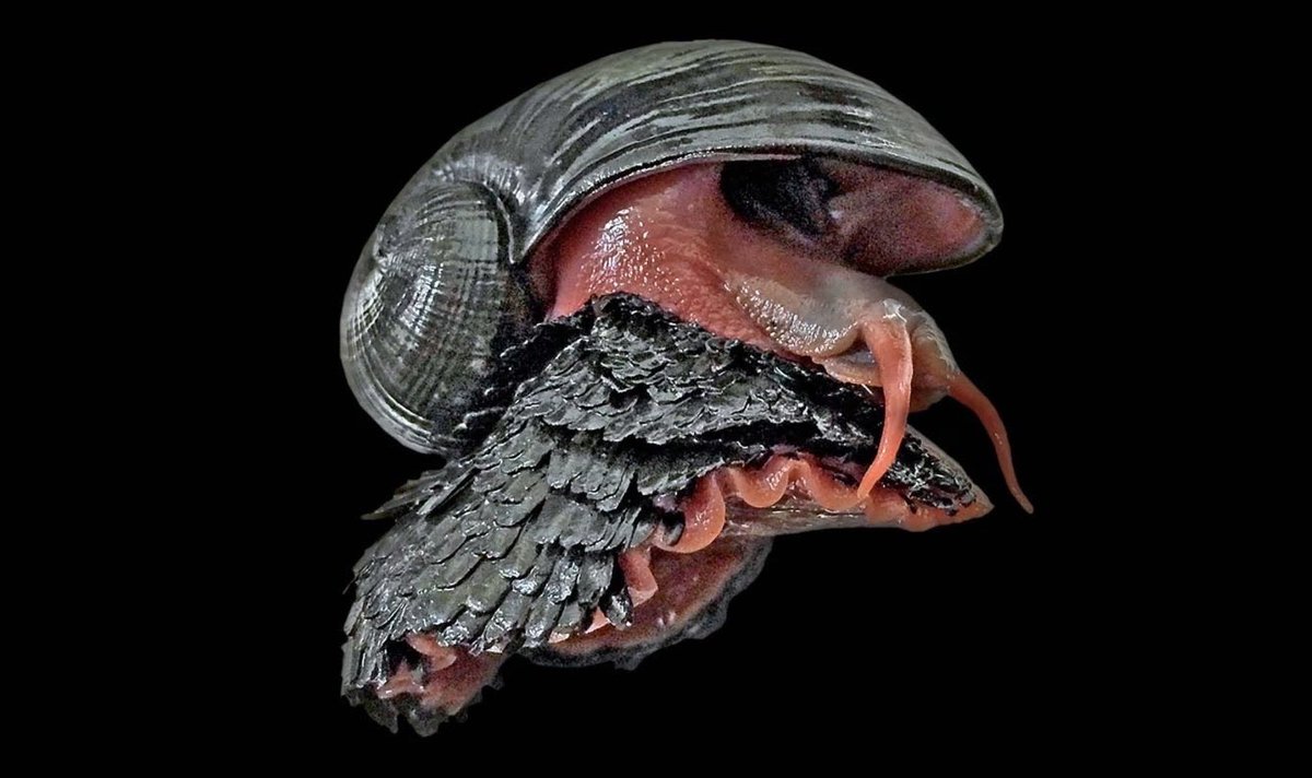 beautiful day for GUTTER