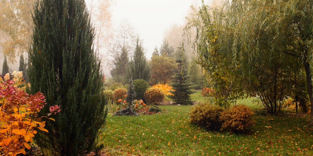 Arborjet's tweet image. Monday Myth: Trees Don’t Need Water in the Fall.

Trees still lose moisture in fall, and their roots keep working until the ground freezes. If it’s been dry, give them a slow, deep soak.

It will help them enter winter with the reserves they need.

#TreeCare #PHC #FallTips