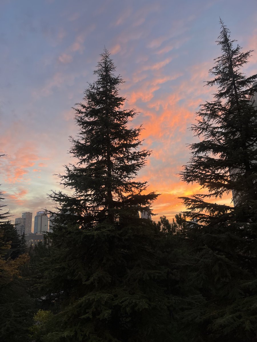 Rabbimin sanatı bin tane efekten daha güzel 🙂‍↔️🧡