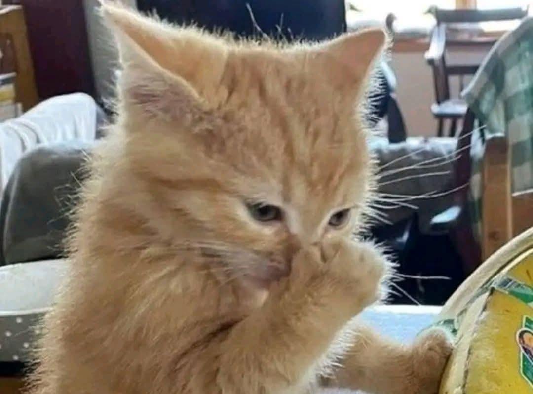 لما حد يقعد جنبي بيشرب أيكوس 
🙃🙃🙃