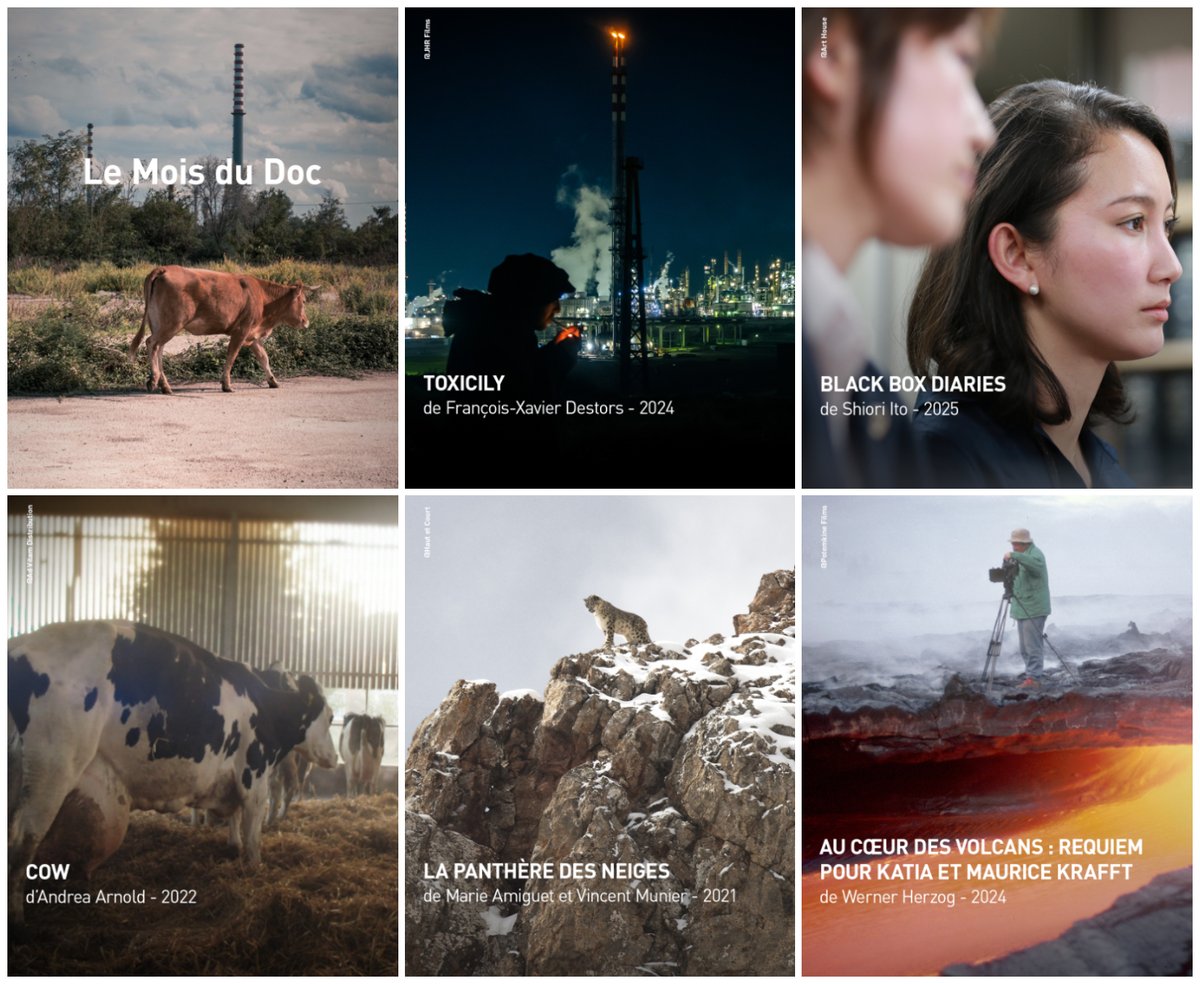 🎥UniversCiné s'associe au #MoisDuDoc👉universcine.com/corner/mois-du… 

On vous invite à cette occasion à découvrir 5 films sur le thème des métamorphoses.  Des pépites qui prouvent que “l’autre cinéma” n’est autre que du “grand cinéma” tout court 😀

#CinemaDocumentaire #Documentaire