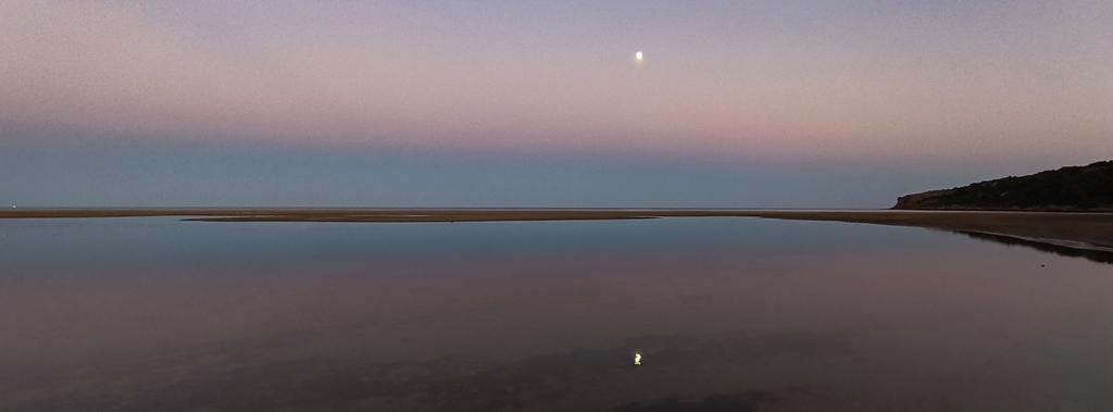 ebb_boards's tweet image. Reflections