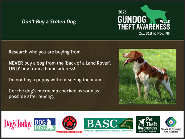 pettheftaware's tweet photo. #GundogTheftAwarenessWeek
Don't Buy a Stolen Dog!
If you have then you Must return to the rightful owner.
Research who you are buying from.
Always pay with a traceable method.
#DogAbduction #ScanMe #CheckThatChip #FernsLaw https://t.co/JgfGCXiVZm