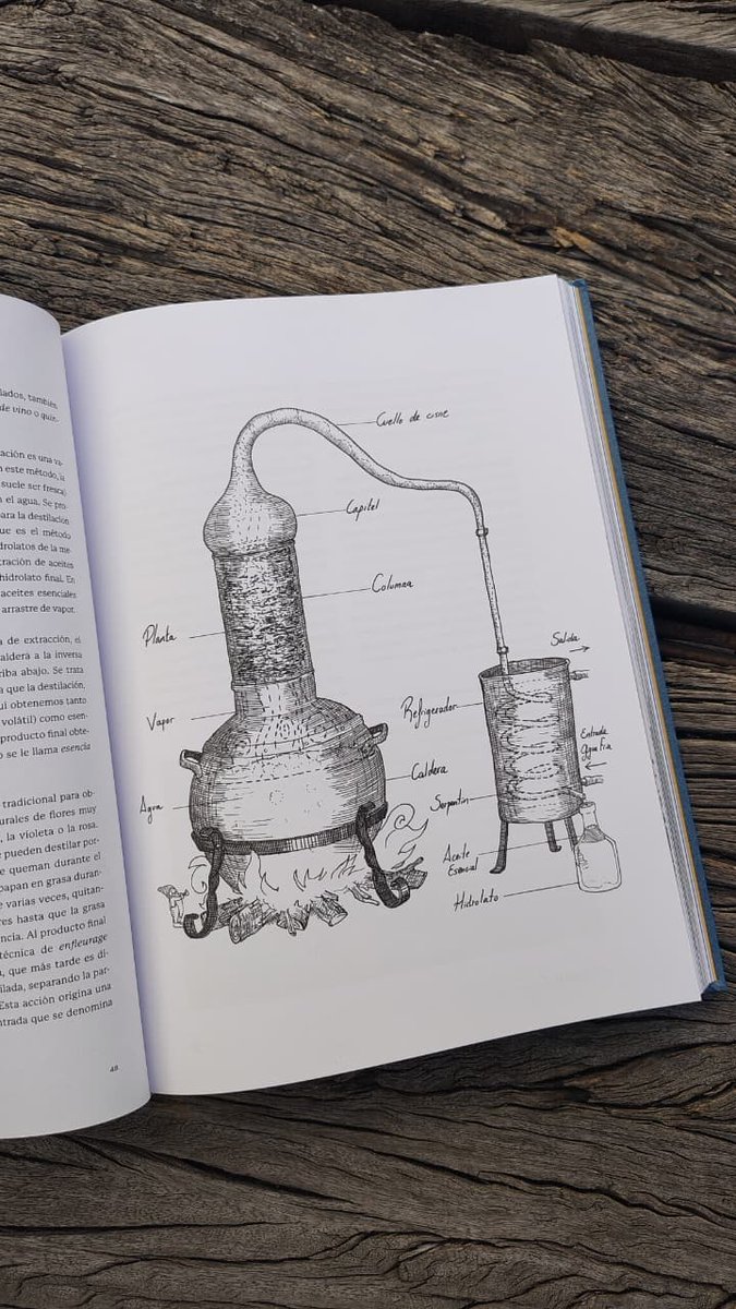 ✨🪻 LIBROS DE FLORES 🪻✨
¿Te interesa la interacción profunda y respetuosa que se genera con la naturaleza? ¿Y, además, elaborar tus propios cosméticos, perfumes, bebidas, conservas y productos de limpieza?🍃

Te esperamos en Macedonio Alcalá 104 ✨