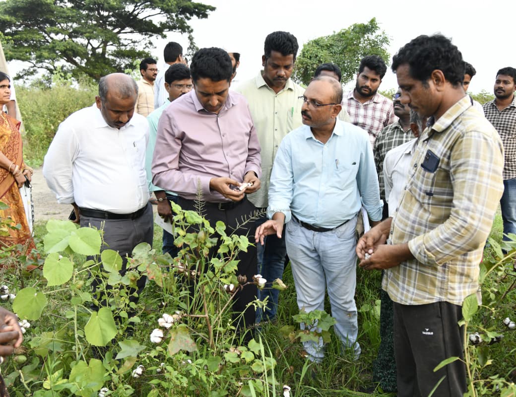 Collectorntr's tweet image. Date  : 03 Nov, 2025
Place : Kanchikacherla Mandal

NTR District Collector Dr. G. Lakshmisha IAS, inspected damaged #CottonFields at #Saidapuram and #PaddyFields at #Paritala, due to #MonthaCyclone, assessing the extent of crop loss and interacting with affected farmers, assured…