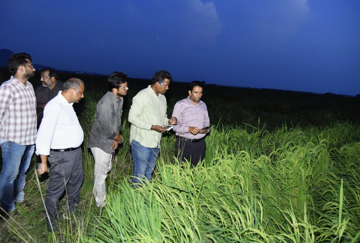 Collectorntr's tweet image. Date  : 03 Nov, 2025
Place : Kanchikacherla Mandal

NTR District Collector Dr. G. Lakshmisha IAS, inspected damaged #CottonFields at #Saidapuram and #PaddyFields at #Paritala, due to #MonthaCyclone, assessing the extent of crop loss and interacting with affected farmers, assured…