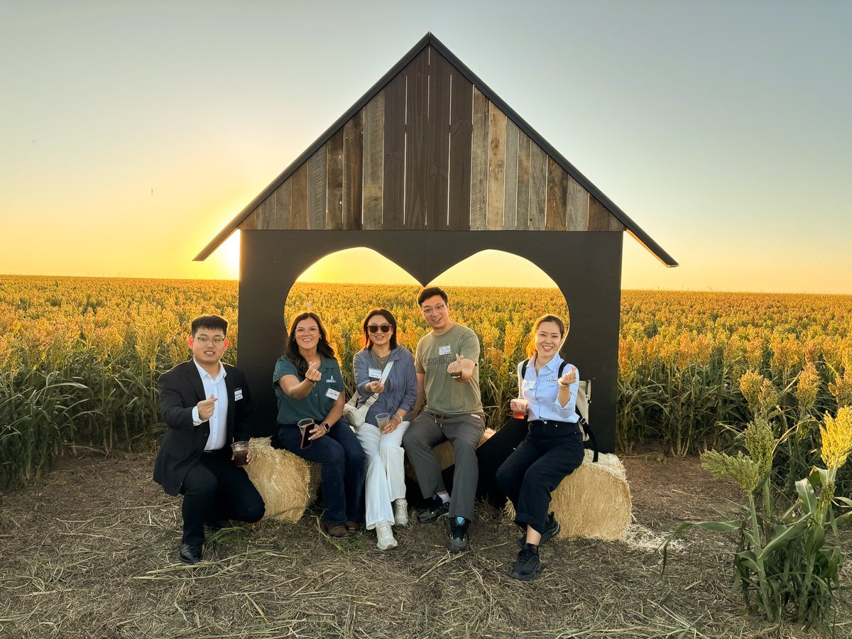 Sorghum Checkoff tweet media