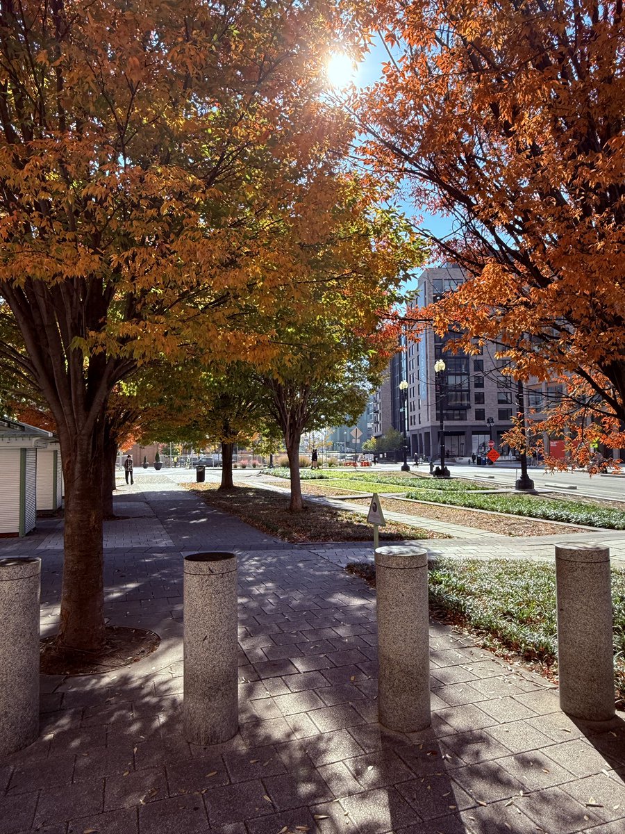 Ananth Prasad tweet media