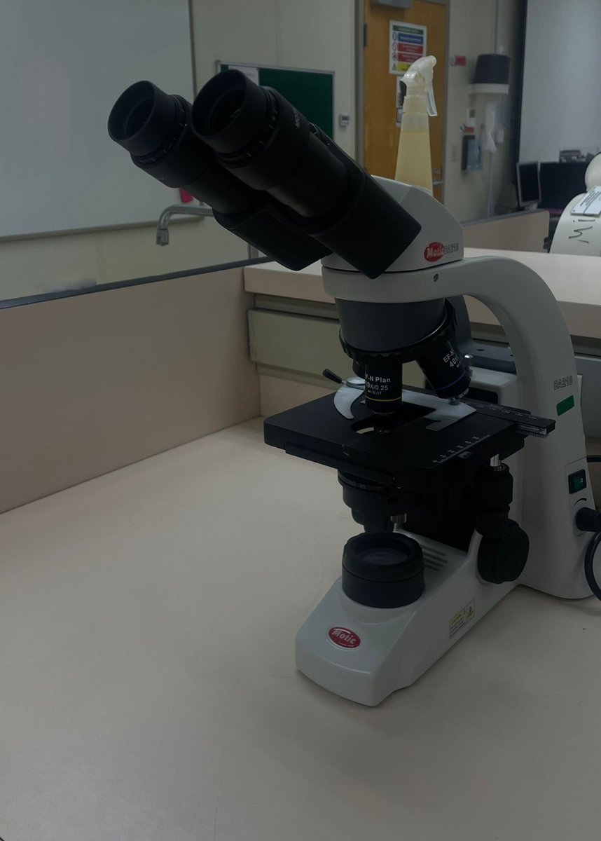 LAB25🔬🧪 tweet media