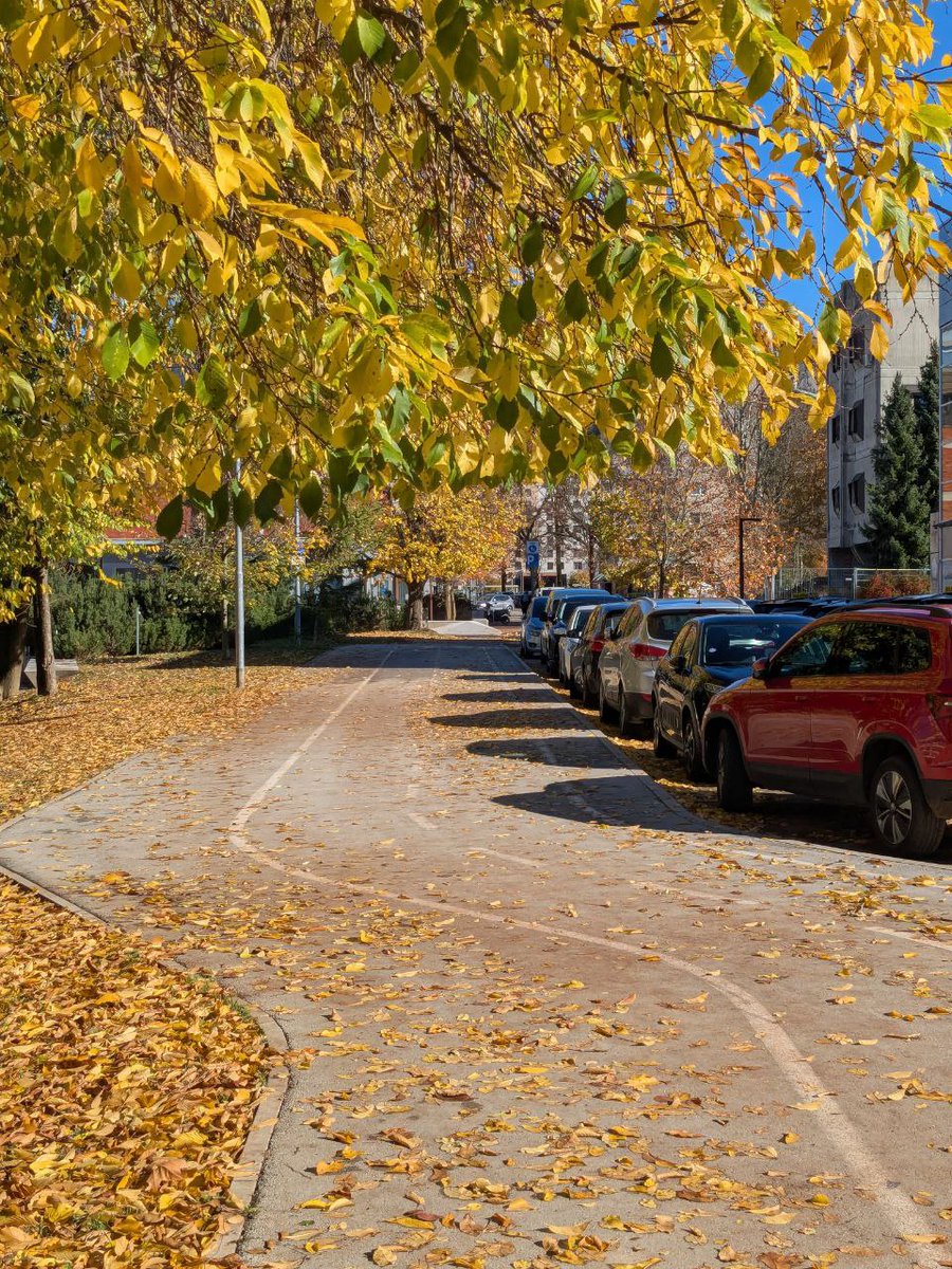 Tarasov_ka (@tarasov_ka) on Twitter photo 