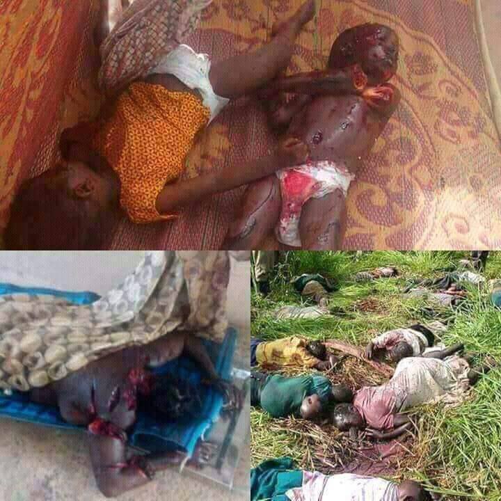 BLOSSOM4GOOD's tweet photo. @RepRileyMoore Rep. Sir, @RepRileyMoore we Christians in Nigeria can't continue to endure being killed like flies. 
Our hearts💔 are bleeding.
POTUS should not hesitate to help Nigeria get rid of this Boko Haram Islamic terrorists. 
We believe Trump is coming to sanitize the land. https://t.co/vQK4Vprcaj