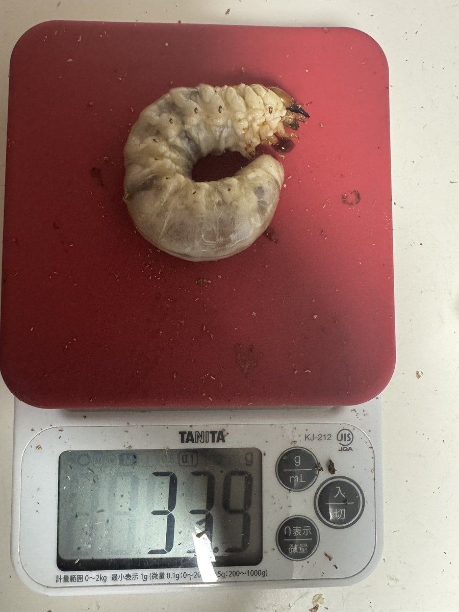 NK (@hkubno6FyZqlYcZ) / Posts / X