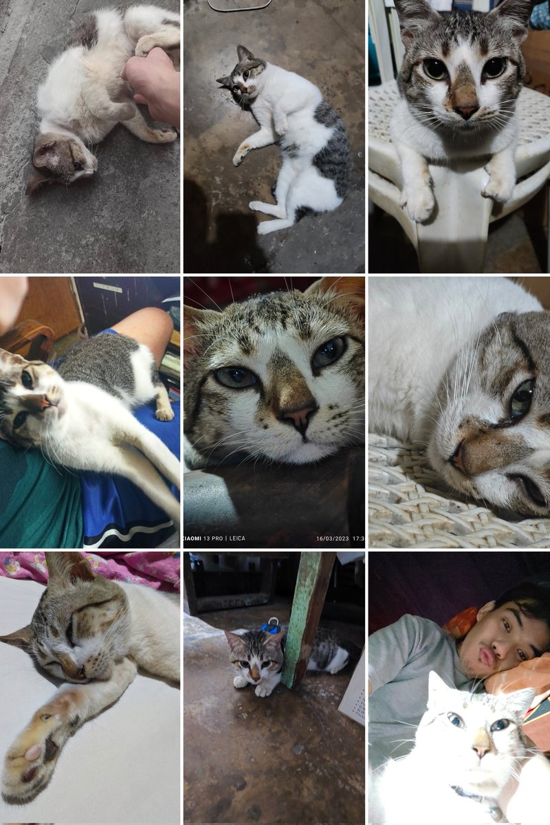 I love you so much my Grae. Run free. No more pain. 😭😭😭
