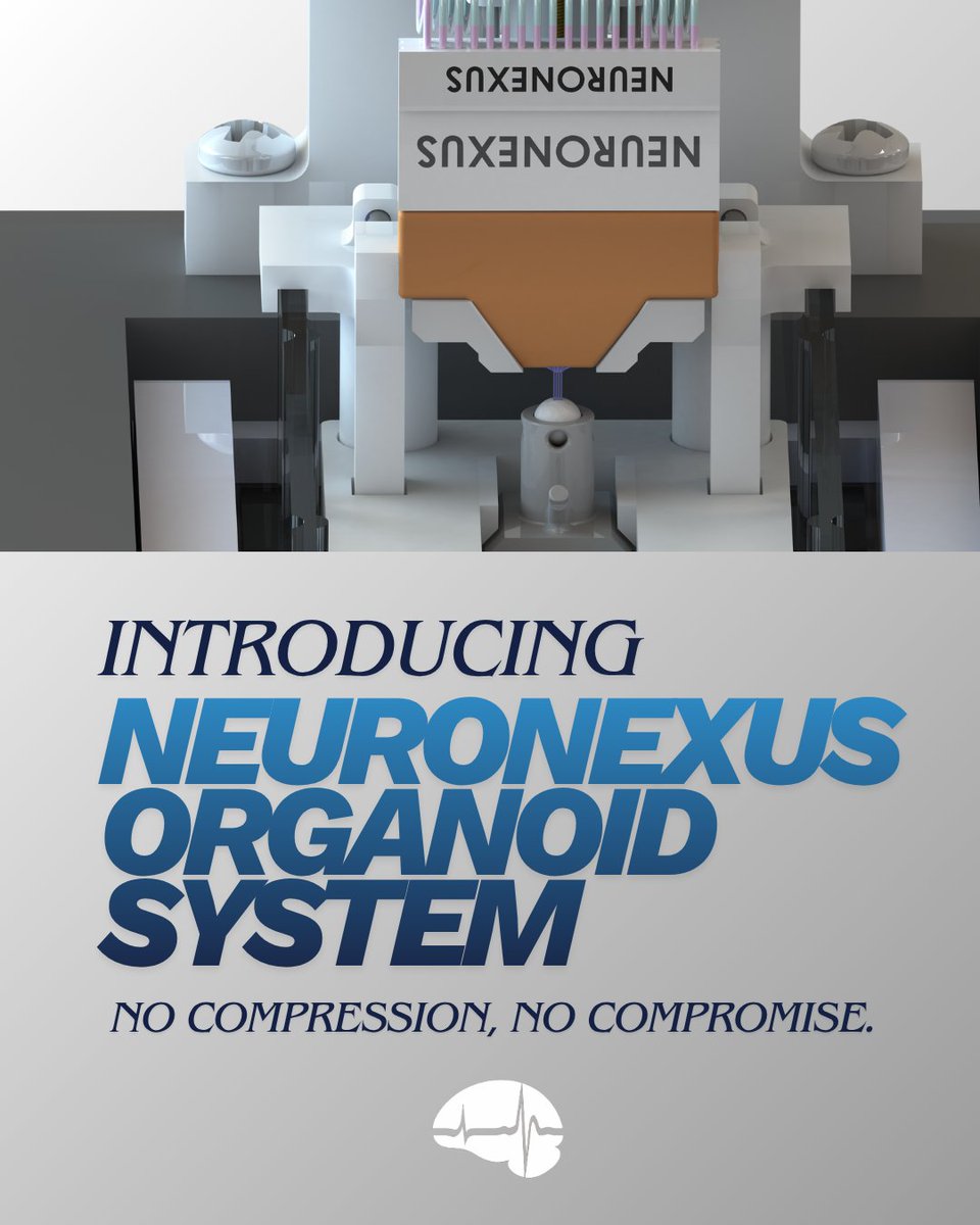 Introducing the NeuroNexus Organoid System - the first integrated platform designed to record from inside and across intact organoids. NeuroNexus probe technology enables high signal-to-noise ratio recordings without compromising tissue integrity. hubs.li/Q03RnTLW0