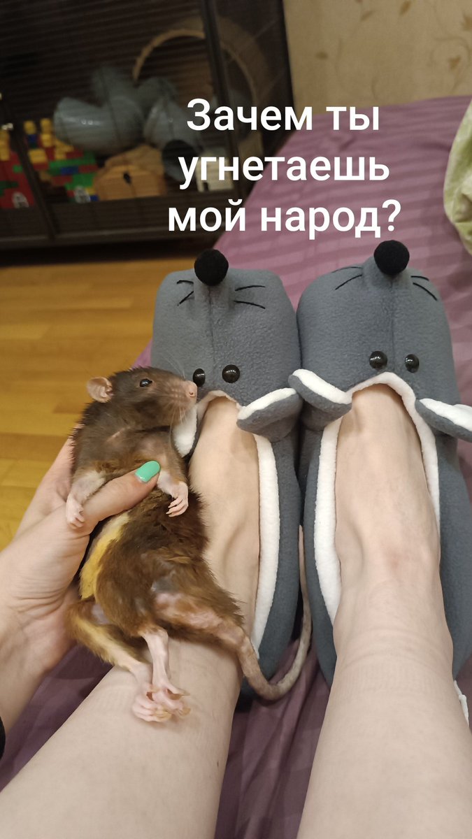 Мы с Гэнзди сделали свою вариацию мема.