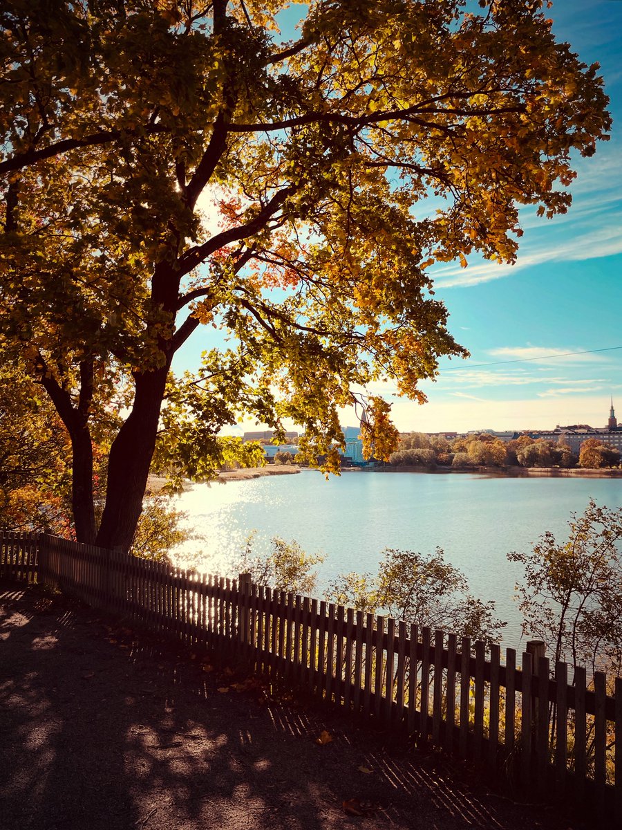 Syksyinen valon välähdys 

#suomen4vuodenaikaa 
#finland4seasons