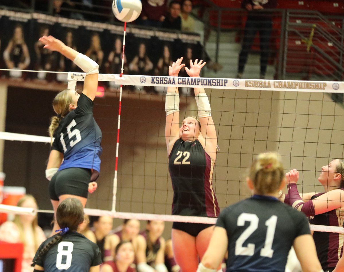 Rick Peterson tweet media