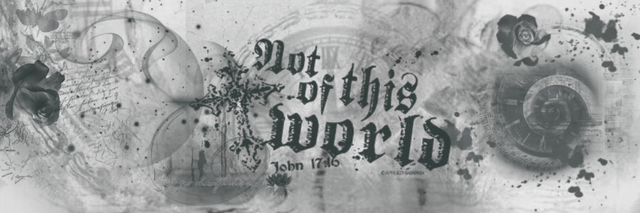 seaphies's tweet image. 