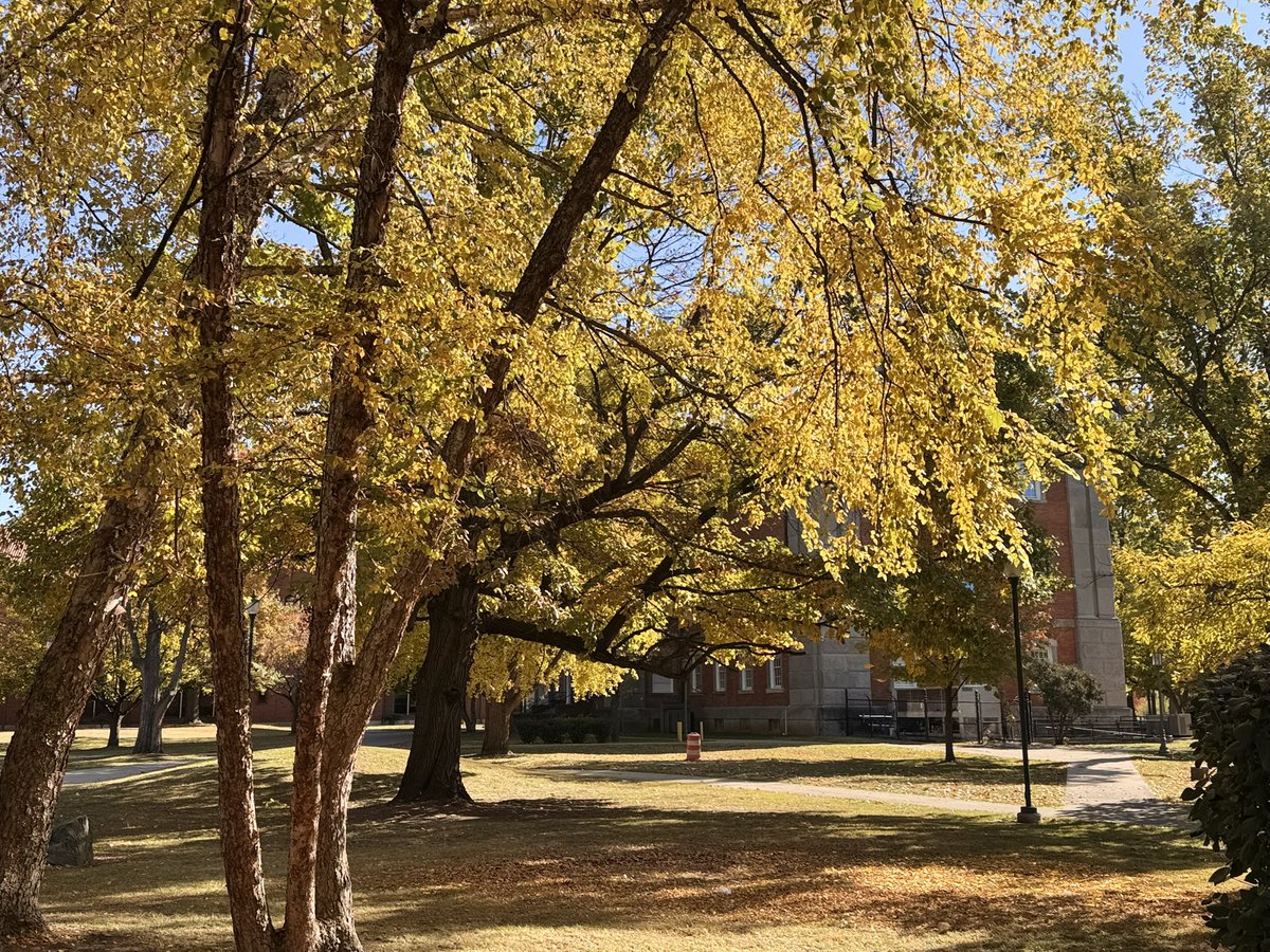 chambersjpc's tweet photo. Big #Gratitude to @arsenal_tech, @IPS_ArlingtonMS, @IPS_NorthwestMS, @IPSBrookside54, @broadripplems, @CAttucksIPS, @harshman_ms, @TCHowe_MS, @GWContinentals, @JWRiley43, William McKinley 39 &amp; others for hosting @IPSSchools #IPSDistrictPD! 
#TeamIPS #WatchUsWork #WatchUsLearn https://t.co/LrjPBoHagN