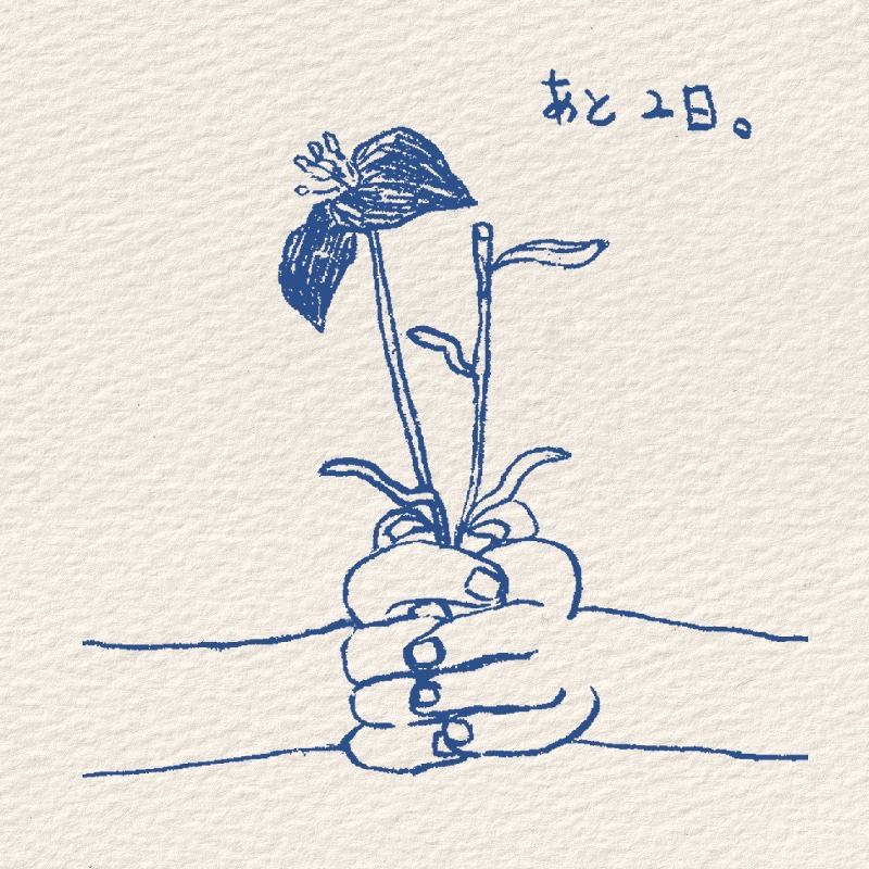 5BITEN's tweet photo. 展示開催まで…ᝰ✍︎꙳⋆

イラスト担当：谷野しずか🪴

✁┈┈┈┈┈┈┈┈┈┈┈┈┈┈┈┈

「視覚と聴覚の接続」
#Reunionpolyphony
#Repo展2025
［日時］
2025年11月18日（火）～11月23日（日）
10:30〜19:00※最終日は17:30終了
［場所］
〒164-0003
東京都中野区東中野4-4-1
ポレポレ坐ビル 7Fありかホール
［アクセス］
JR中央・総武線 東中野駅口/都営地下鉄大江戸線 東中野駅 A1出口より徒歩2分

✁┈┈┈┈┈┈┈┈┈┈┈┈┈┈┈┈

「Reunionpolyphony」とは？
東京五美術大学管弦楽団、通称「ゴビカン』OBOG有志によるグループ展。
3回目となる今年は、「＃視覚と聴覚の接続」と題し、作家それぞれが選択した音楽を美術の視点で表現する作品展示を試みます。