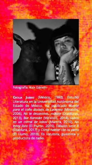 Recomendación de #Grafógrafxs Lean "Acapulco (me entró al ojo una estrella de cine, mamá)" (Grafógrafxs, Colección Pasavante, 2021), de Cecilia Juárez: grafografxs.uaemex.mx/vista/descarga… #Acapulco  #poemas #escritorasmexicanas #Toluca  #literatura #estrellasdecine #vacaciones  #amoreterno
