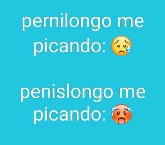 status malucos do WhatsApp tweet media