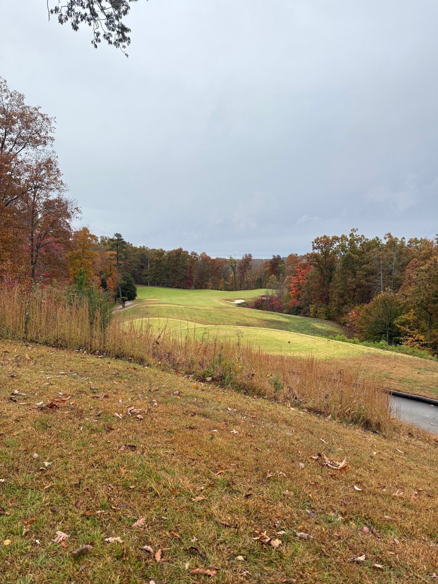 KYStateParks's tweet photo. Fall colors are popping at Yatesville Lake State Park! 🍁
Play a round on the scenic 18-hole course, hike the Mary Ingles Trail, visit the dam spillway, or spot bald eagles over the lake.
Plan your visit ➡️ https://t.co/M68drclrfJ
#KyStateParks #YatesvilleLake #FallGolf https://t.co/vM8OOCZNcF