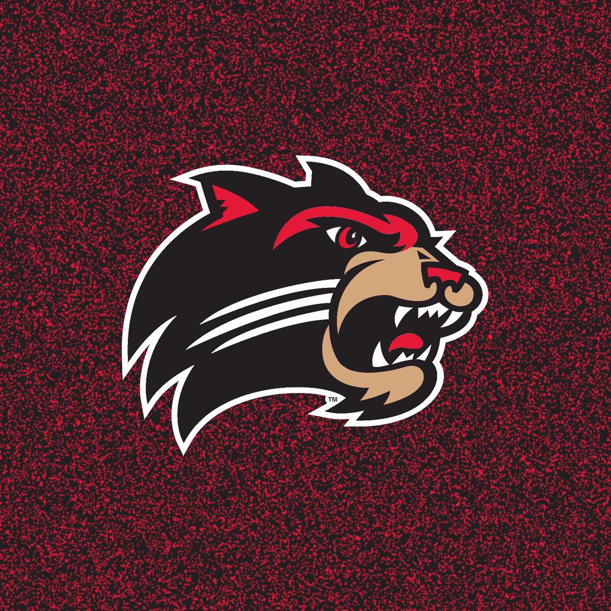 Justin H tweet media