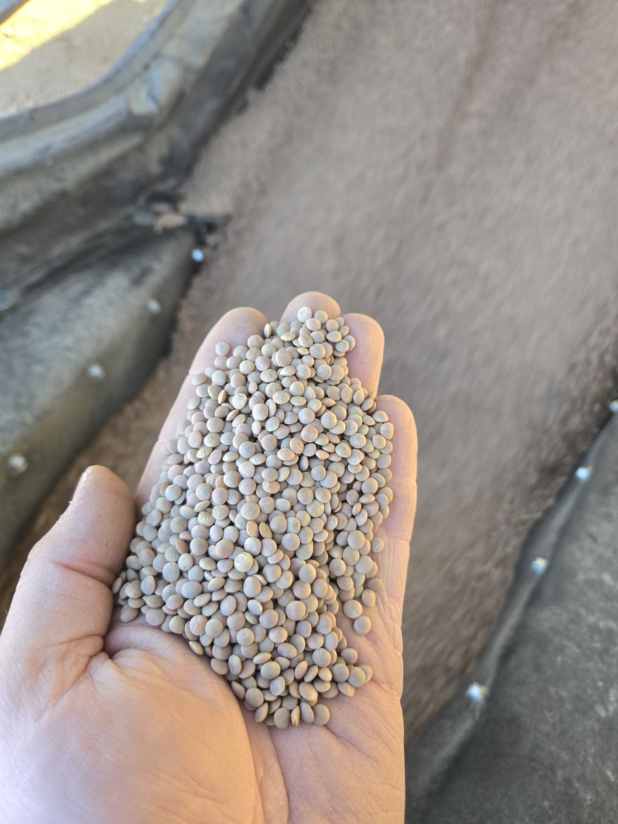 Randy Toman tweet media