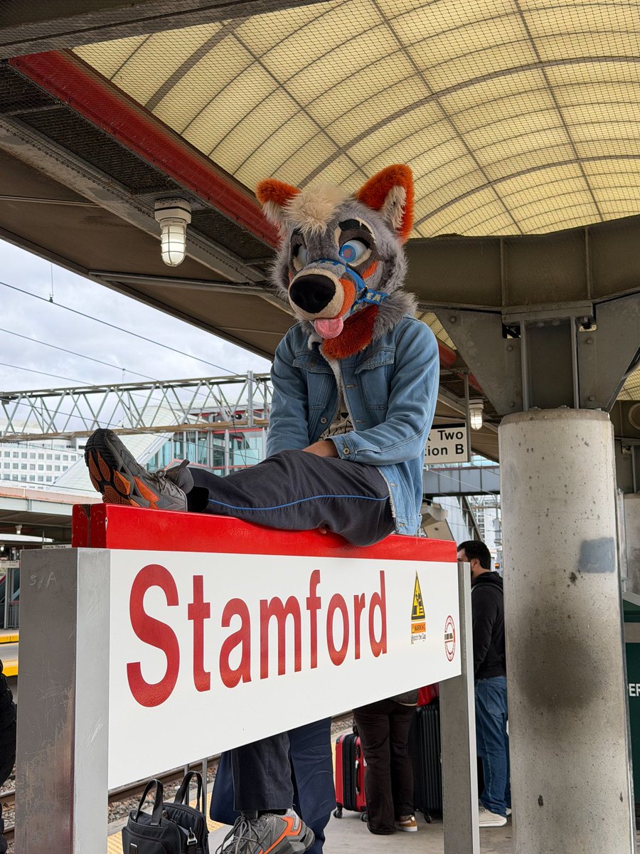 PartDoggo's tweet image. Don&apos;t be sad that it&apos;s over be happy that it happened