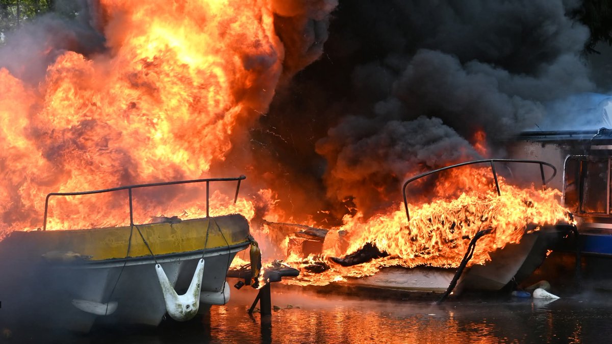 Katharine Skellon tweet media