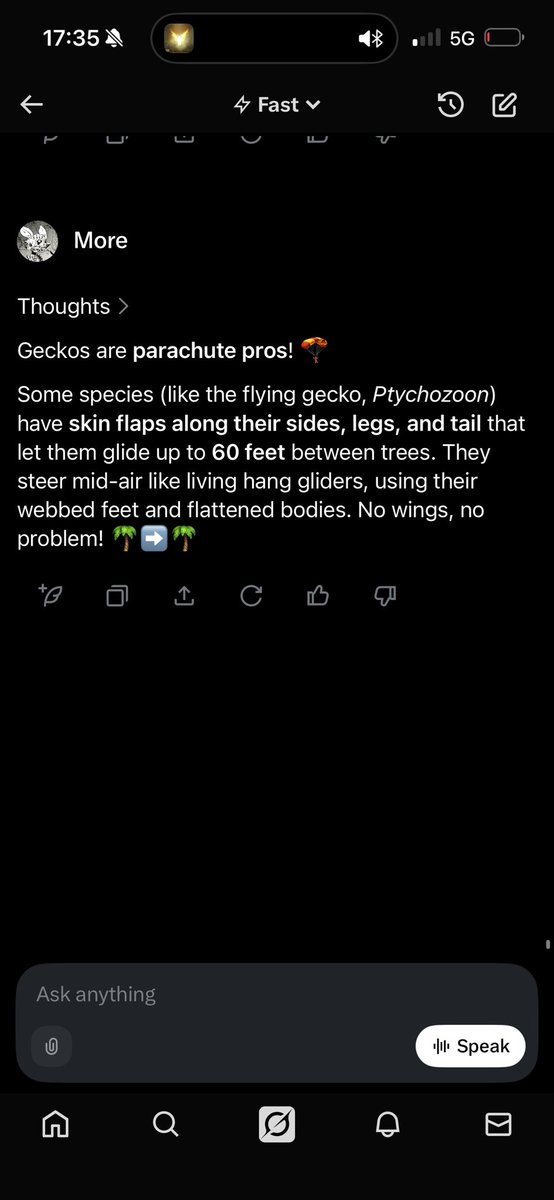 brotherjohn333's tweet photo. @genuinearticles 🦎😆 https://t.co/tXwcTEcFqp