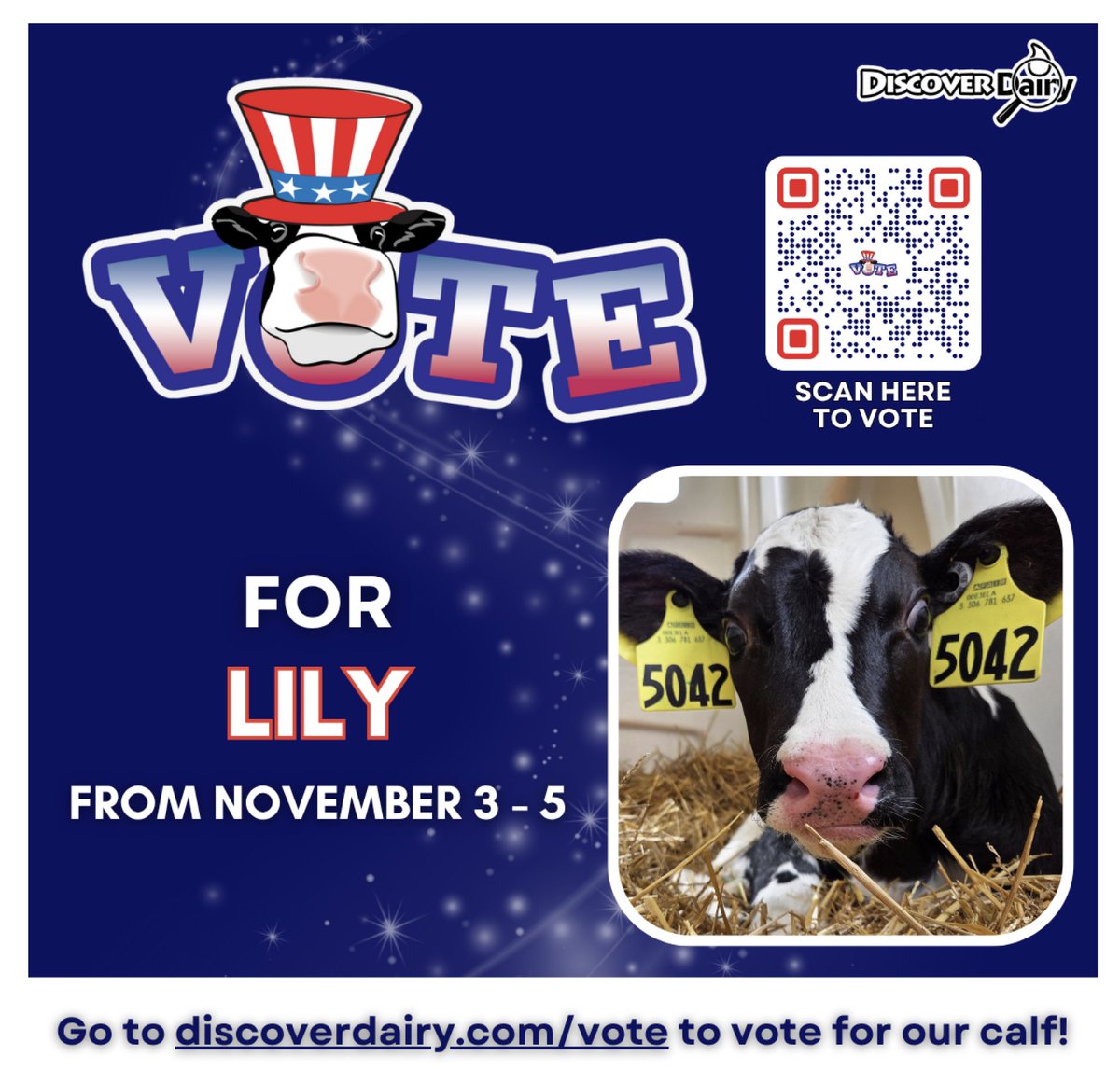 HFLCSD's tweet image. 🐮 Caitlin Garvey&apos;s class adopted a calf named Lily! She’s running to become America’s Favorite Calf 🗳💛 Vote Nov. 3–5 using the QR code on our flyer and help Lily win a special calf care package! #VoteForLily #WeAreHFL