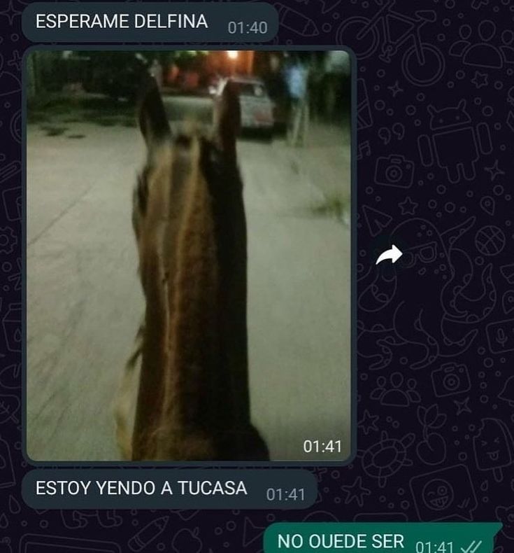 Cursed Images Argentina (@cursed_arg) on Twitter photo 