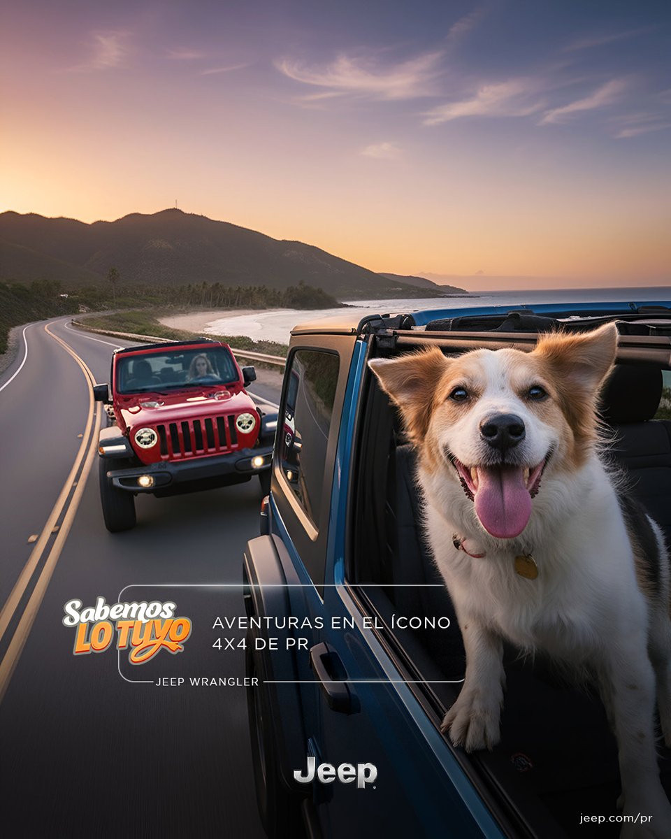 jeeppr's tweet image. ¡Sabemos lo tuyo! Sin tu mejor amigo de 4 patas, no es lo mismo. 😉 🐶   

#Jeep #PawfectMatch