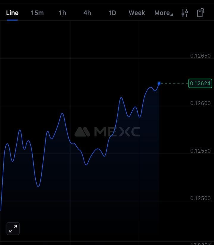 Early adopters are discovering the potential of Infinity Ground and its AIN token. With real trading volume on major exchanges, a strong community, and an ambitious roadmap, it’s more than just hype it’s an opportunity.

Seed-funded by leading investors and designed for