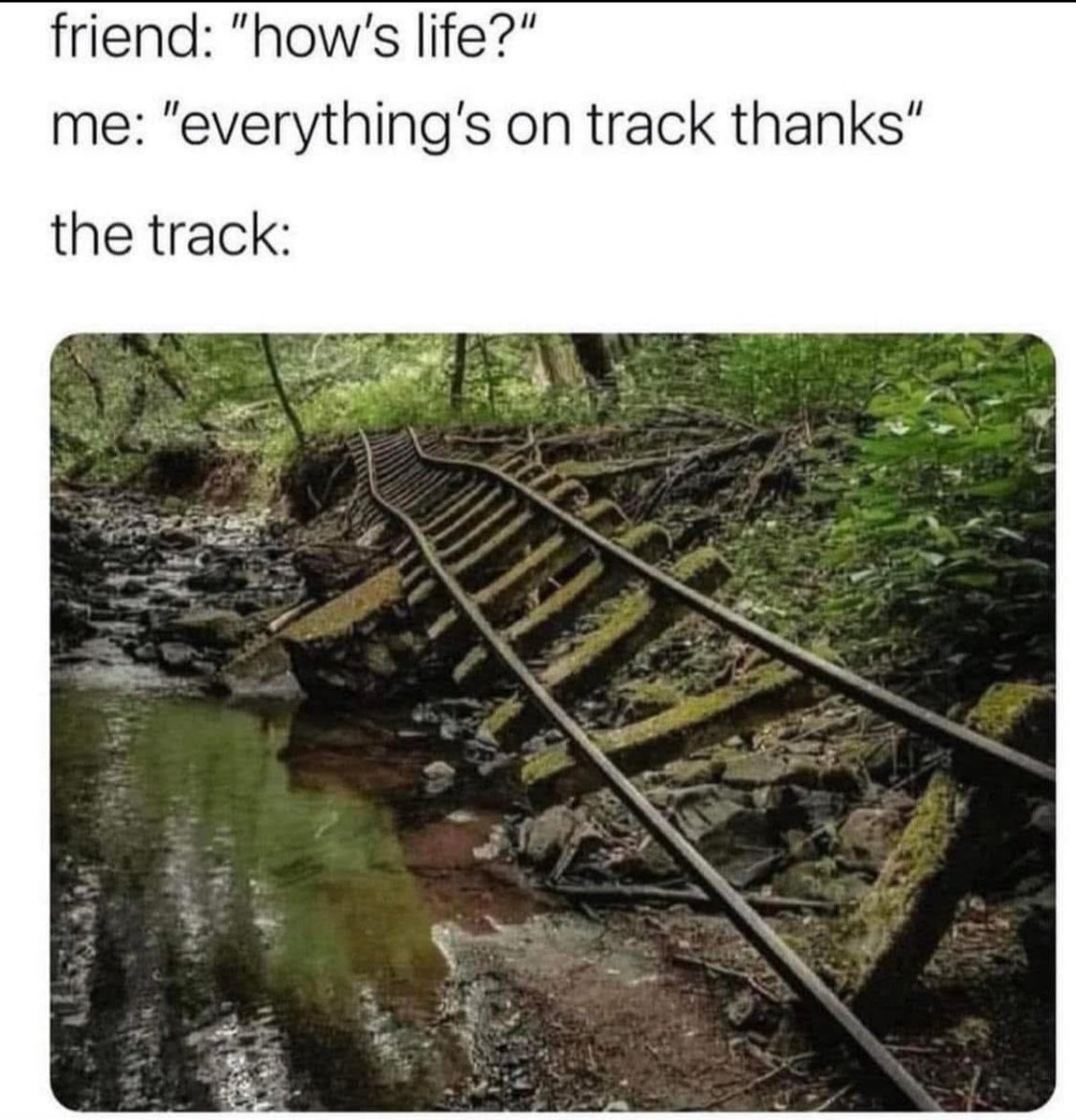 normhamilton's tweet image. ...but still on track 😉