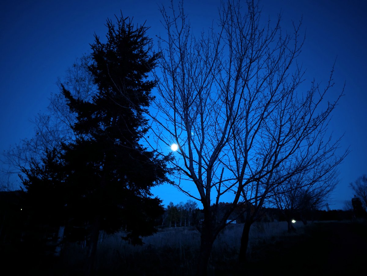 カナディアンワールドの冬季閉園から1週間、残っていた荷物を取りに行くとそこには幻想的な時間が流れていた
薄暗闇の月明かりに浮かぶアヴォンリーポストは覚悟と威厳のような佇まい
来年の春までゆっくりおやすみ✨️

#アヴォンリーポスト
#カナディアンワールド 
#赤毛のアン
#芦別市