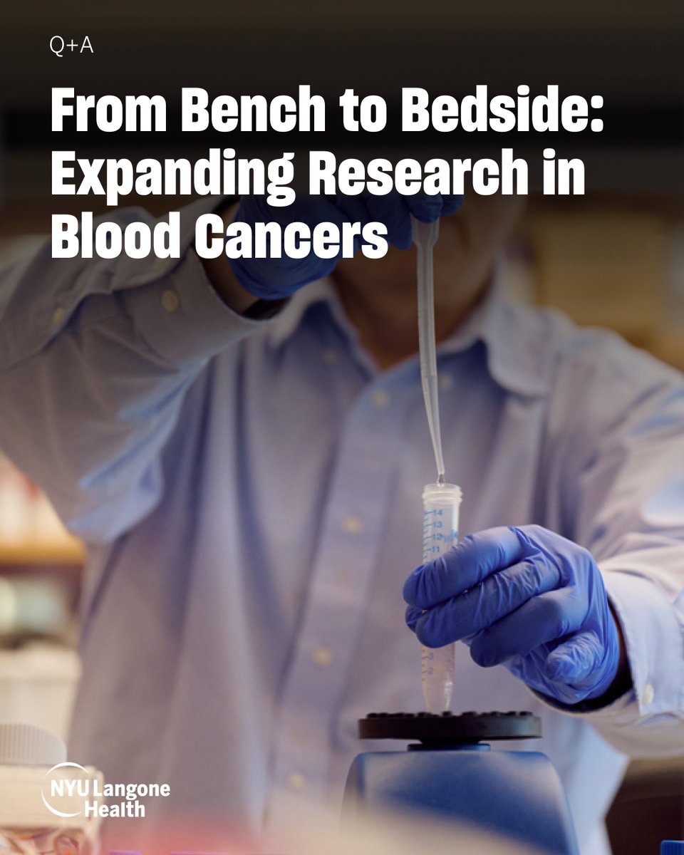 nyugrossman's tweet image. A new era for blood cancer research begins at @nyulangone. Dr. John P. Leonard joins as director of the Center for Blood Cancers, chief of Hematology and Medical Oncology, and interim director of Perlmutter Cancer Center.

 Read more: bit.ly/3WzsEe9
