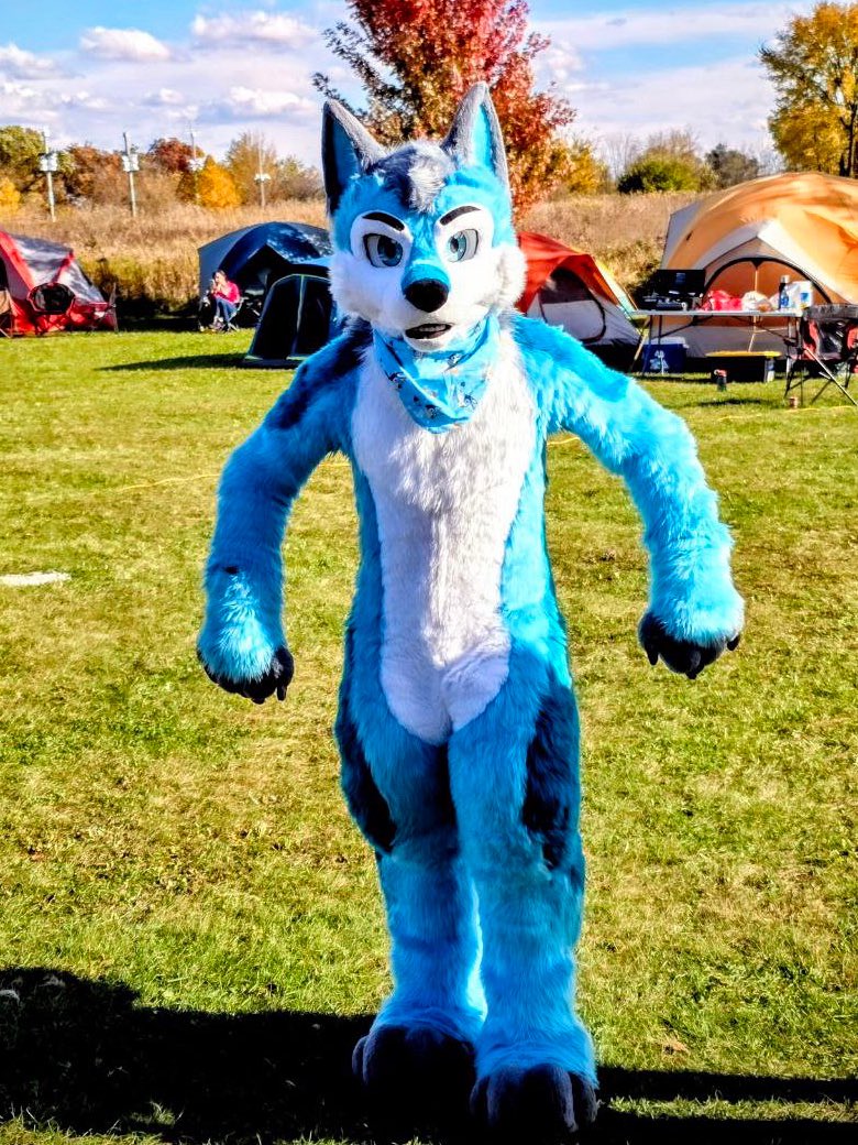 TyBluey's tweet image. I’ll be at Aquatifur this weekend! 🐶