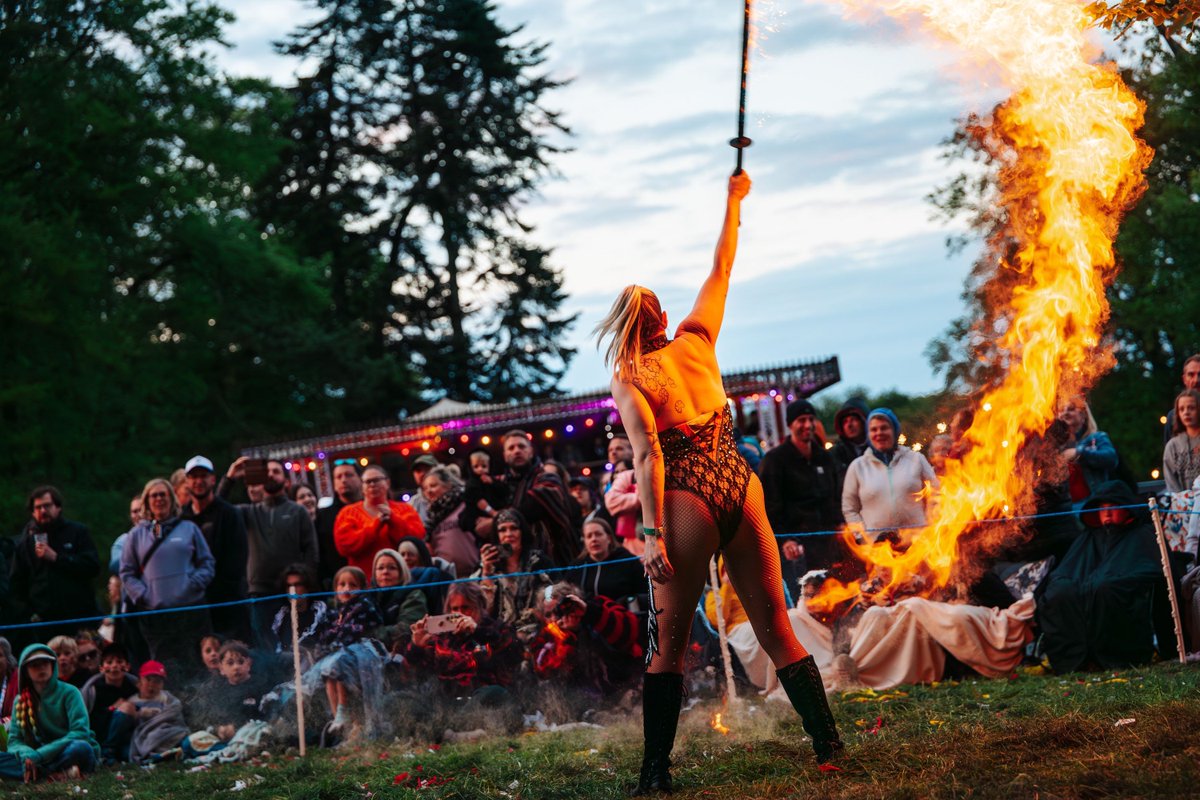 Teddy Rocks Festival tweet media