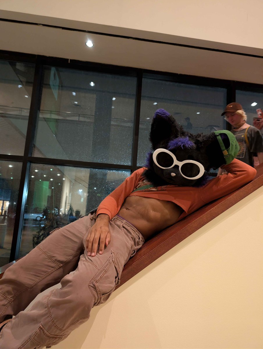 Iggydacat's tweet image. Cats and dogs 🙂‍↕️